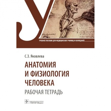 Анатомия и физиология человека, книга Анатомия и физиология человека. Рабочая тетрадь. Учебное пособие купить по низкой цене