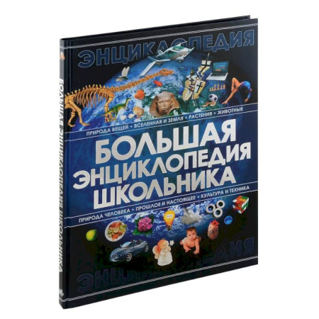 Дополнительные учебные пособия, книга Большая энциклопедия школьника купить по низкой цене