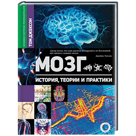 Анатомия и физиология человека, книга Мозг. История, теории и практики купить по низкой цене