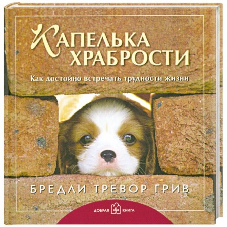 Книги, книга Капелька храбрости. Как достойно встречать трудности жизни купить по низкой цене