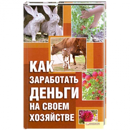 Книги, книга Как заработать деньги на своем хозяйстве купить по низкой цене