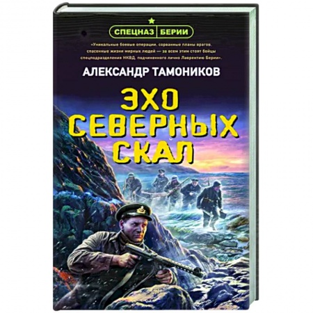 Боевики, военные, книга Эхо северных скал купить по низкой цене