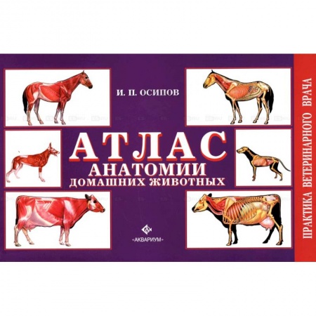 Ветеринария, книга Атлас анатомии домашних животных купить по низкой цене