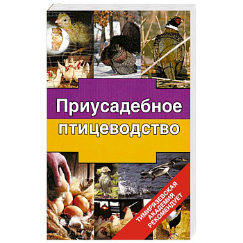 Приусадебное птицеводство