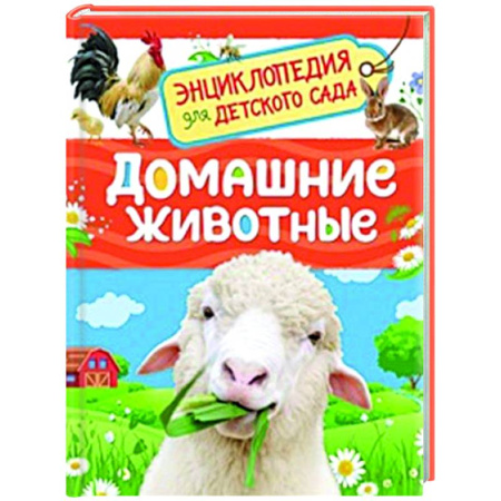 Животный и растительный мир, книга Домашние животные купить по низкой цене