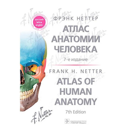 Анатомия и физиология человека, книга Атлас анатомии человека. 7-е изд купить по низкой цене