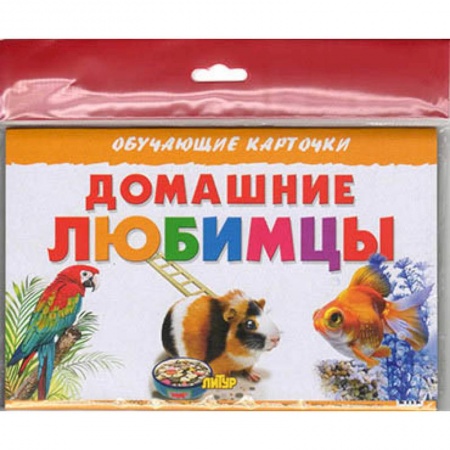 Животный и растительный мир, книга Домашние любимцы купить по низкой цене