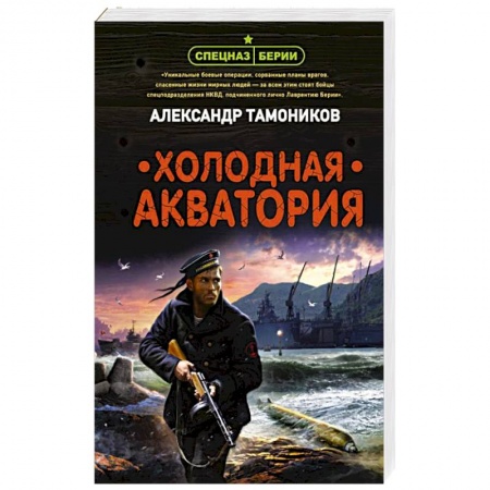 Отечественный мужской детектив, книга Холодная акватория купить по низкой цене