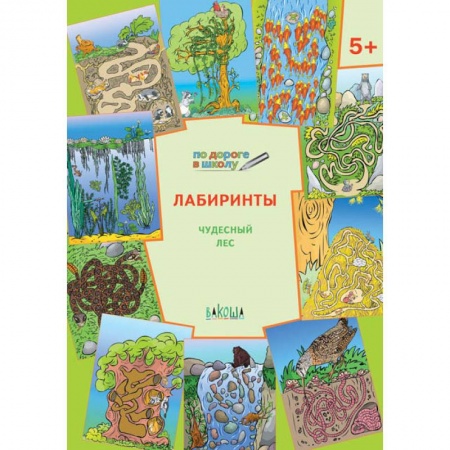 Книги для дошкольников (4-6 лет), книга Лабиринты. Чудесный лес. Тетрадь для занятий с детьми 5-6 лет купить по низкой цене