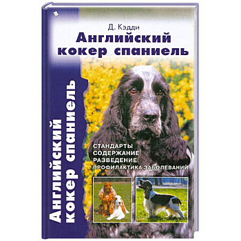 Английский кокер спаниель