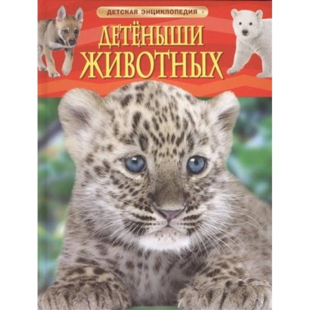 Книги, книга Детеныши животных купить по низкой цене