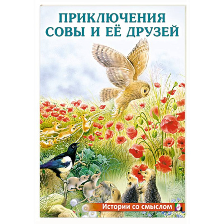 Книги для дошкольников (4-6 лет), книга Приключения совы и её друзей купить по низкой цене