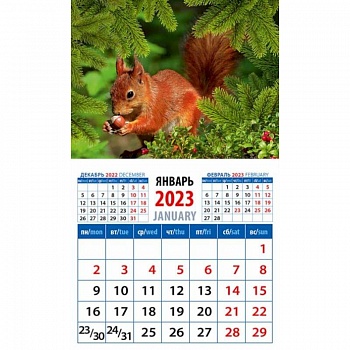 Календарь Белка с орехом, на 2023 год