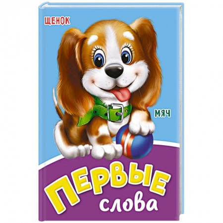 Книги для дошкольников (4-6 лет), книга Первые слова купить по низкой цене