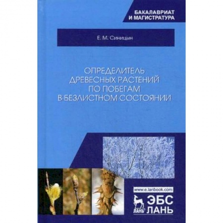 Биологические науки. Анатомия, книга Определитель древесных растений по побегам в безлистном состоянии. Учебное пособие купить по низкой цене