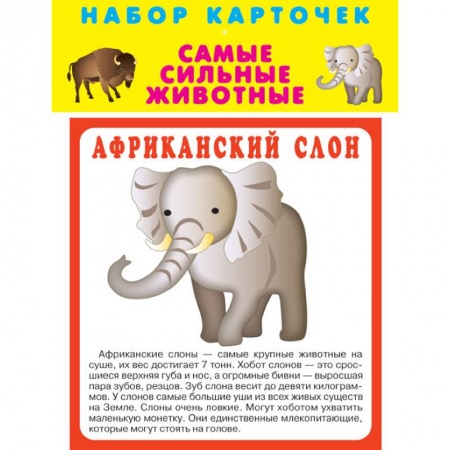 Общая подготовка к школе, книга Набор карточек 'Самые быстрые животные' купить по низкой цене
