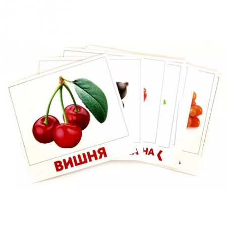 Окружающий мир, книга Ягоды купить по низкой цене