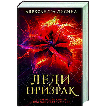 Русское фэнтези, книга Леди-призрак: Вакансия для призрака, Призрак на задании купить по низкой цене