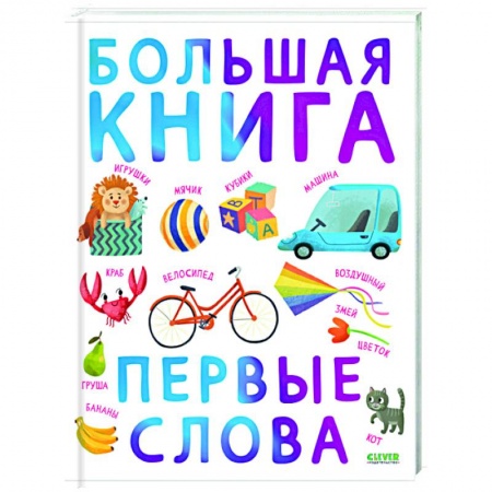 Знакомство с миром, развитие малыша, книга Первые книжки малыша. Большая книга. Первые слова купить по низкой цене