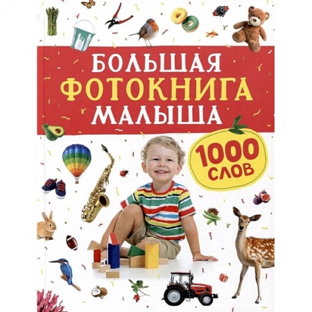 Знакомство с миром, развитие малыша, книга Большая фотокнига малыша. 1000 слов купить по низкой цене