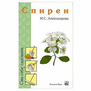 Спиреи