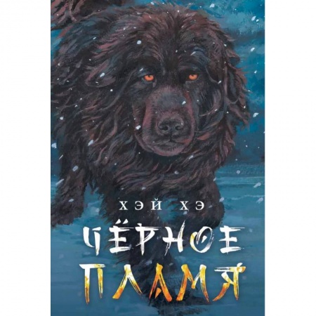 Зарубежная литература для детей, книга Черное пламя купить по низкой цене