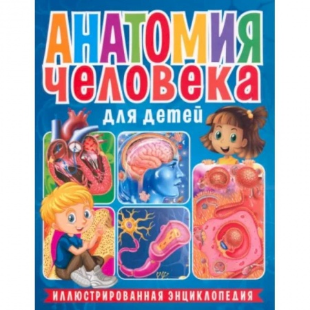 Человек. Земля. Вселенная, книга Анатомия человека для детей. Иллюстрированная энциклопедия купить по низкой цене