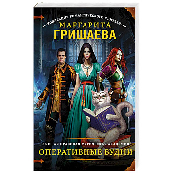 Высшая правовая магическая академия. Оперативные будни