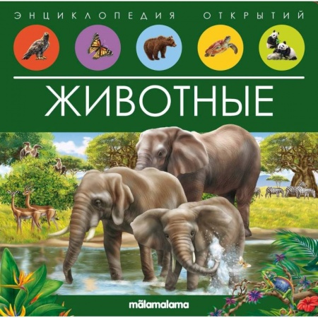 Книжки-раскладушки, панорамки, книга Животные. Книжка-панорамка купить по низкой цене