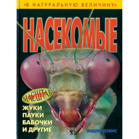 Книги, книга Насекомые купить по низкой цене