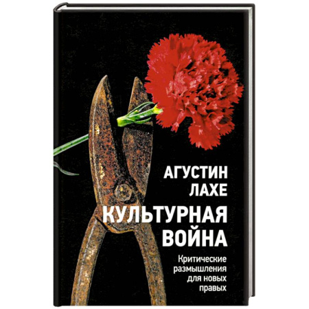 Политика, книга Культурная война: Критическое размышление купить по низкой цене