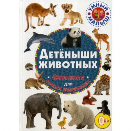 Знакомство с миром, развитие малыша, книга Детеныши животных купить по низкой цене