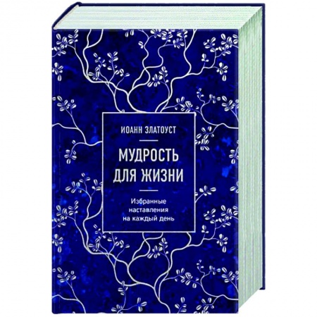 Православие в целом, книга Мудрость для жизни. Избранные наставления на каждый день купить по низкой цене