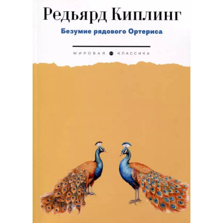 Зарубежная классика, книга Безумие рядового Ортериса купить по низкой цене