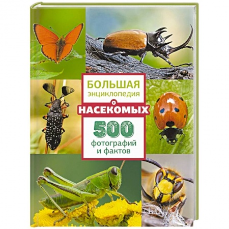 Животный и растительный мир, книга Большая энциклопедия о насекомых. 500 фотографий и фактов купить по низкой цене