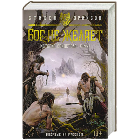 Зарубежное фэнтези, книга История свидетеля. Книга 1. Бог не желает купить по низкой цене
