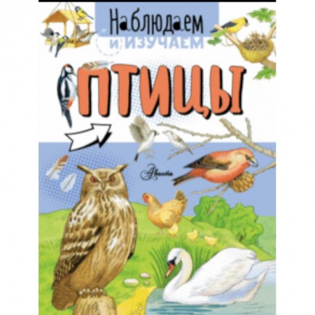 Животный и растительный мир, книга Птицы купить по низкой цене