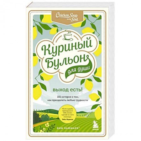 Практическая психология, книга Куриный бульон для души. Выход есть! 101 история о том, как преодолеть любые трудности купить по низкой цене