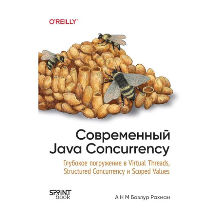 Компьютерная литература, книга Современный Java Concurrency. Глубокое погружение в Virtual Threads, Structured Concurrency и Scoped Values купить по низкой цене