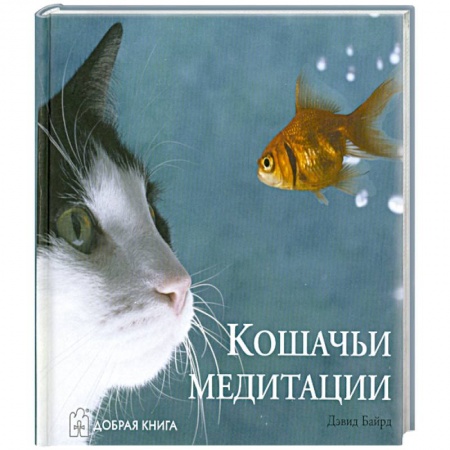 Книги, книга Кошачьи медитации купить по низкой цене