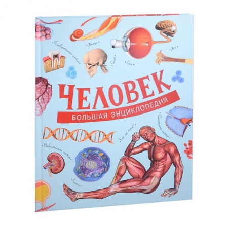 Человек. Земля. Вселенная, книга Человек. Большая энциклопедия купить по низкой цене