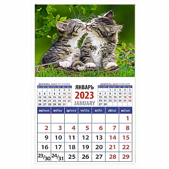 Календарь Год кота. Кошачьи нежности на 2023 год