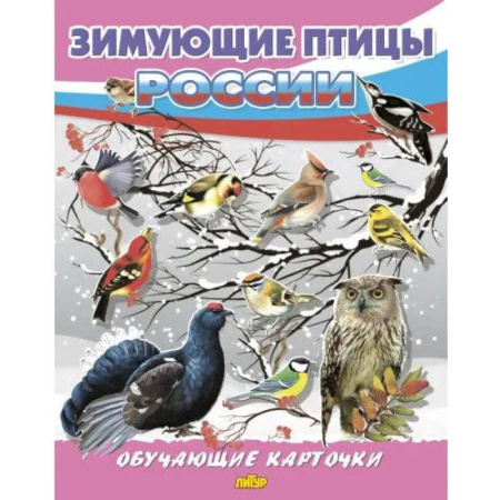 Животный и растительный мир, книга Зимующие птицы России купить по низкой цене