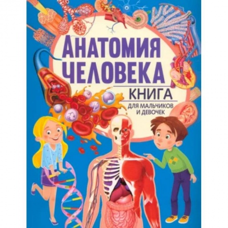 Человек. Земля. Вселенная, книга Анатомия человека. Книга для мальчиков и девочек купить по низкой цене