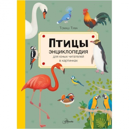 Животный и растительный мир, книга Птицы купить по низкой цене