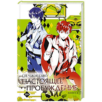 Настоящее пробуждение. Real Awakening. Книга 4 Настоящее пробуждение. Real Awakening. Книга 4