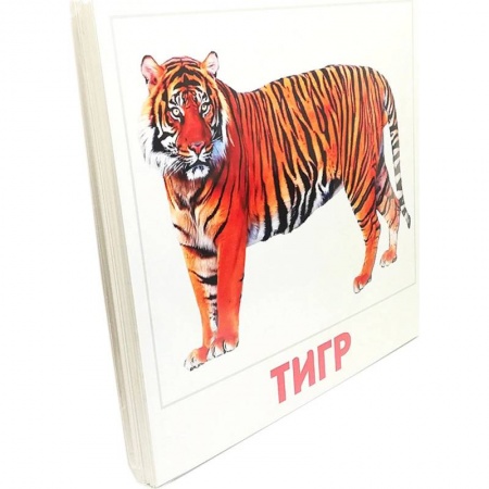 Животный и растительный мир, книга Набор карточек. Дикие животные купить по низкой цене