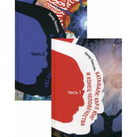 Психоанализ, книга Катафалк: Карл Юнг и конец человечества купить по низкой цене