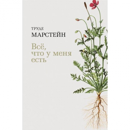 Зарубежная современная проза, книга Все, что у меня есть купить по низкой цене