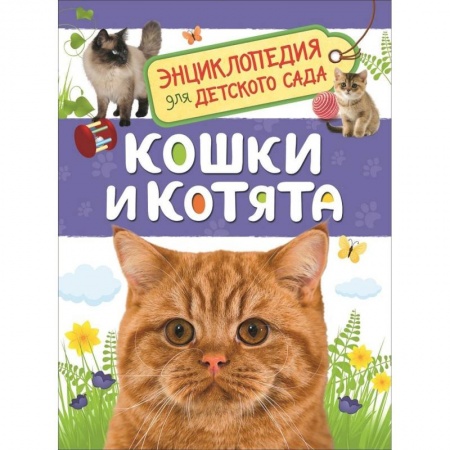 Животный и растительный мир, книга Кошки и котята купить по низкой цене